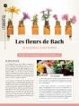 Fleurs De Bach - L'Energie Par L'Essence Des Fleurs - Preview