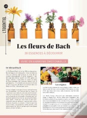 Capa do artigo Fleurs De Bach - L