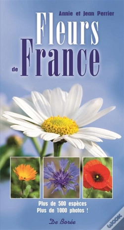 Capa do artigo Fleurs De France