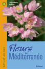 Fleurs De Méditerranée - Preview