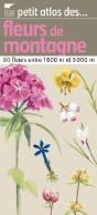 Fleurs De Montagne - Preview