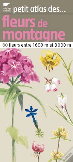Capa do artigo Fleurs De Montagne