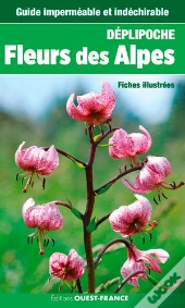 Fleurs Des Alpes (Deplipoche - Carte Laminee)