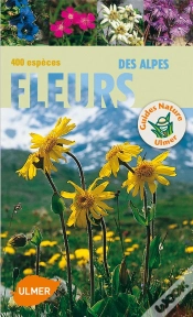 Capa do artigo Fleurs Des Alpes
