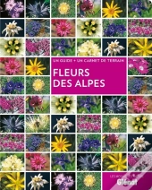 Fleurs Des Alpes