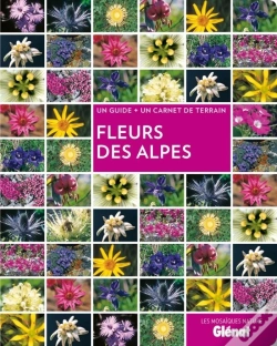 Capa do artigo Fleurs Des Alpes