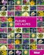 Fleurs Des Alpes - Preview