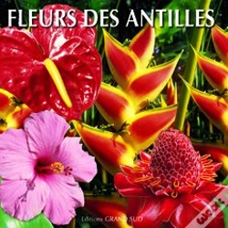 Capa do artigo Fleurs Des Antilles
