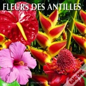 Capa do artigo Fleurs Des Antilles
