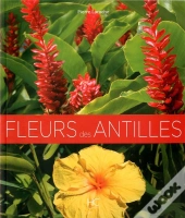 Fleurs Des Antilles