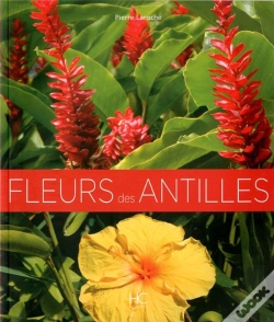 Capa do artigo Fleurs Des Antilles
