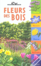 Fleurs Des Bois