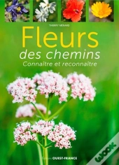 Fleurs Des Chemins