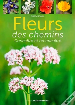 Capa do artigo Fleurs Des Chemins