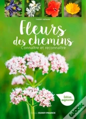 Capa do artigo Fleurs Des Chemins