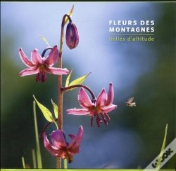 Capa do artigo Fleurs Des Montagnes