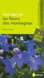 Fleurs Des Montagnes - Preview
