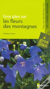 Capa do artigo Fleurs Des Montagnes