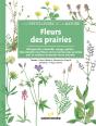 Fleurs Des Prairies - Preview