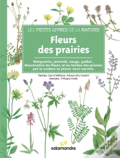 Capa do artigo Fleurs Des Prairies