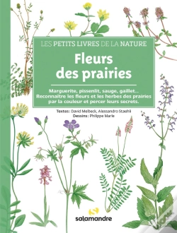 Capa do artigo Fleurs Des Prairies