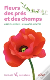 Capa do artigo Fleurs Des Prés Et Des Champs : Chercher - Observer - Reconnaître - Identifier