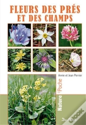 Fleurs Des Prés