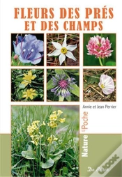 Capa do artigo Fleurs Des Prés