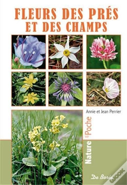 Capa do artigo Fleurs Des Prés