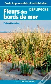 Capa do artigo Fleurs Du Bord De Mer