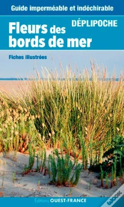 Capa do artigo Fleurs Du Bord De Mer