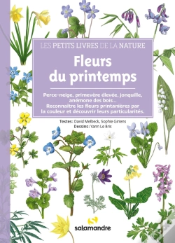Capa do artigo Fleurs Du Printemps