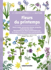 Capa do artigo Fleurs Du Printemps