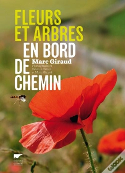 Capa do artigo Fleurs Et Arbres En Bord De Chemin