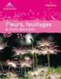 Fleurs Et Feuillages - Preview