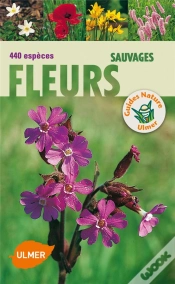 Capa do artigo Fleurs Sauvages