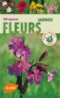 Fleurs Sauvages - Preview