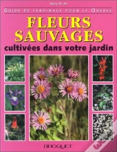Fleurs Sauvages Cultivees Dans Votre Jardin