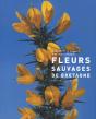 Fleurs Sauvages De Bretagne - Preview