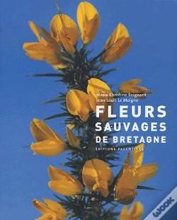 Capa do artigo Fleurs Sauvages De Bretagne