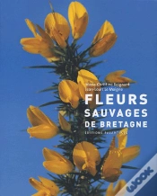 Capa do artigo Fleurs Sauvages De Bretagne