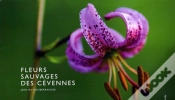 Capa do artigo Fleurs Sauvages Des Cévennes