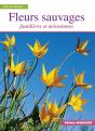 Fleurs Sauvages / Familieres Et Meconnues - Preview