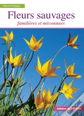 Fleurs Sauvages / Familieres Et Meconnues