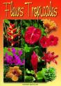 Fleurs Tropicales - Preview