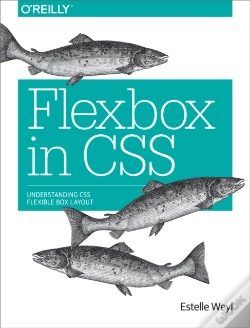 Capa do artigo Flexbox In Css