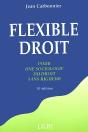 Flexible Droit ; 10e Edition - Preview