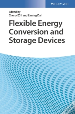 Capa do artigo Flexible Energy Conversion And Storage Devices