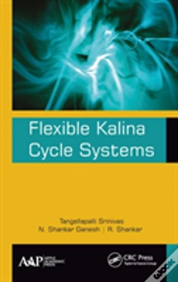Capa do artigo Flexible Kalina Cycle Systems