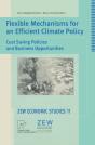 Flexible Mechanisms For An Efficient Climate Policy - Preview